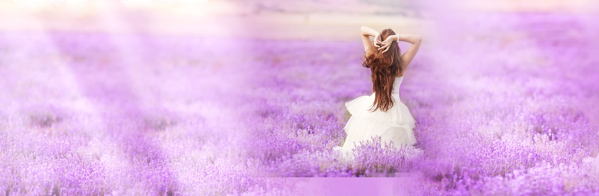 畫(huà)冊(cè)設(shè)計(jì)公司