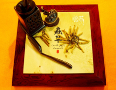 藏曲保健品畫冊(cè)/包裝設(shè)計(jì)