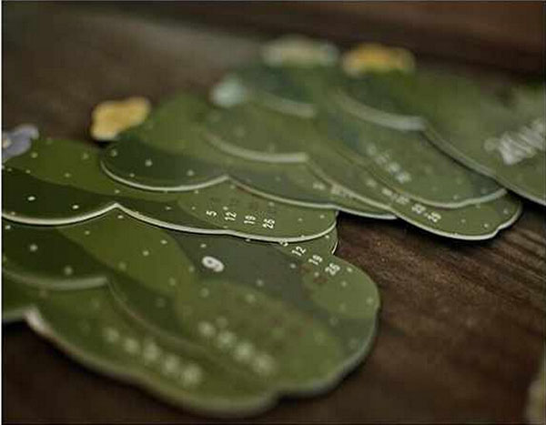 多肉植物萬年臺歷2