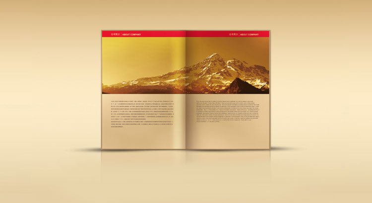 PICC中國人壽保險