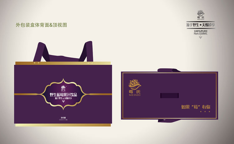 莓氏野生藍(lán)莓果汁飲品