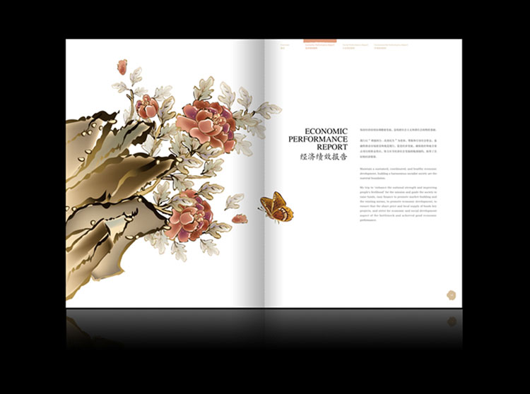 國(guó)家開(kāi)發(fā)銀行