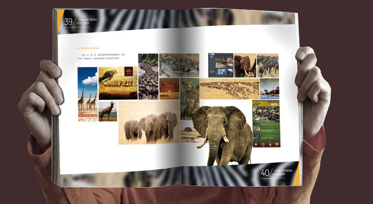 中國網(wǎng)絡電視臺