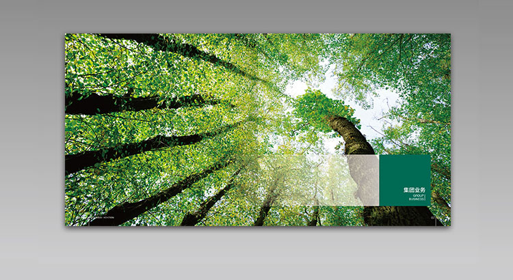 高盛·鴻軒（香港）國際集團