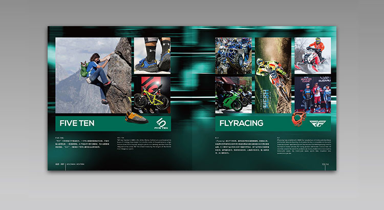 高盛·鴻軒（香港）國際集團