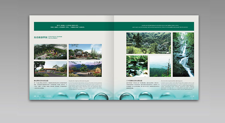 高盛·鴻軒（香港）國際集團