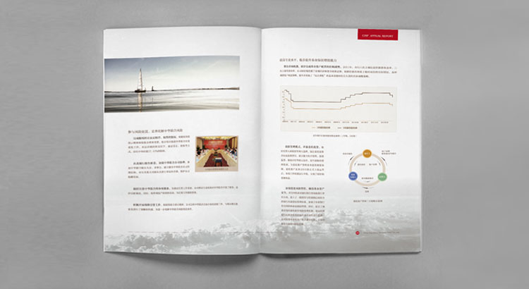 中國保險保障基金