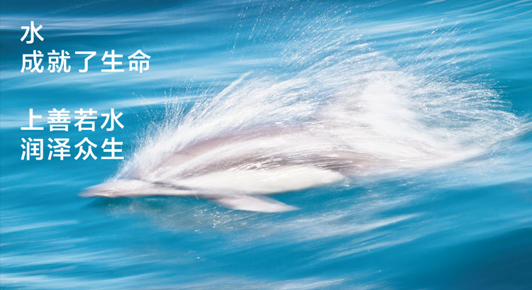 北京國際生物醫(yī)藥創(chuàng)新展覽會