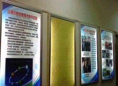 <b>顯示廣告公司出色的小技巧你學(xué)會(huì)了嗎</b>